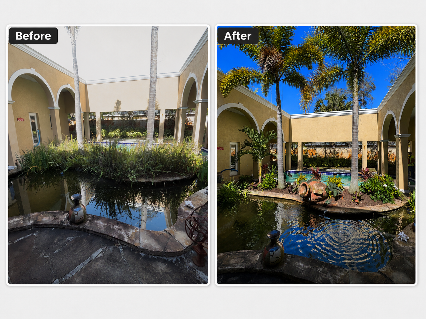 Courtyard pond surrounded by clean tropical planting