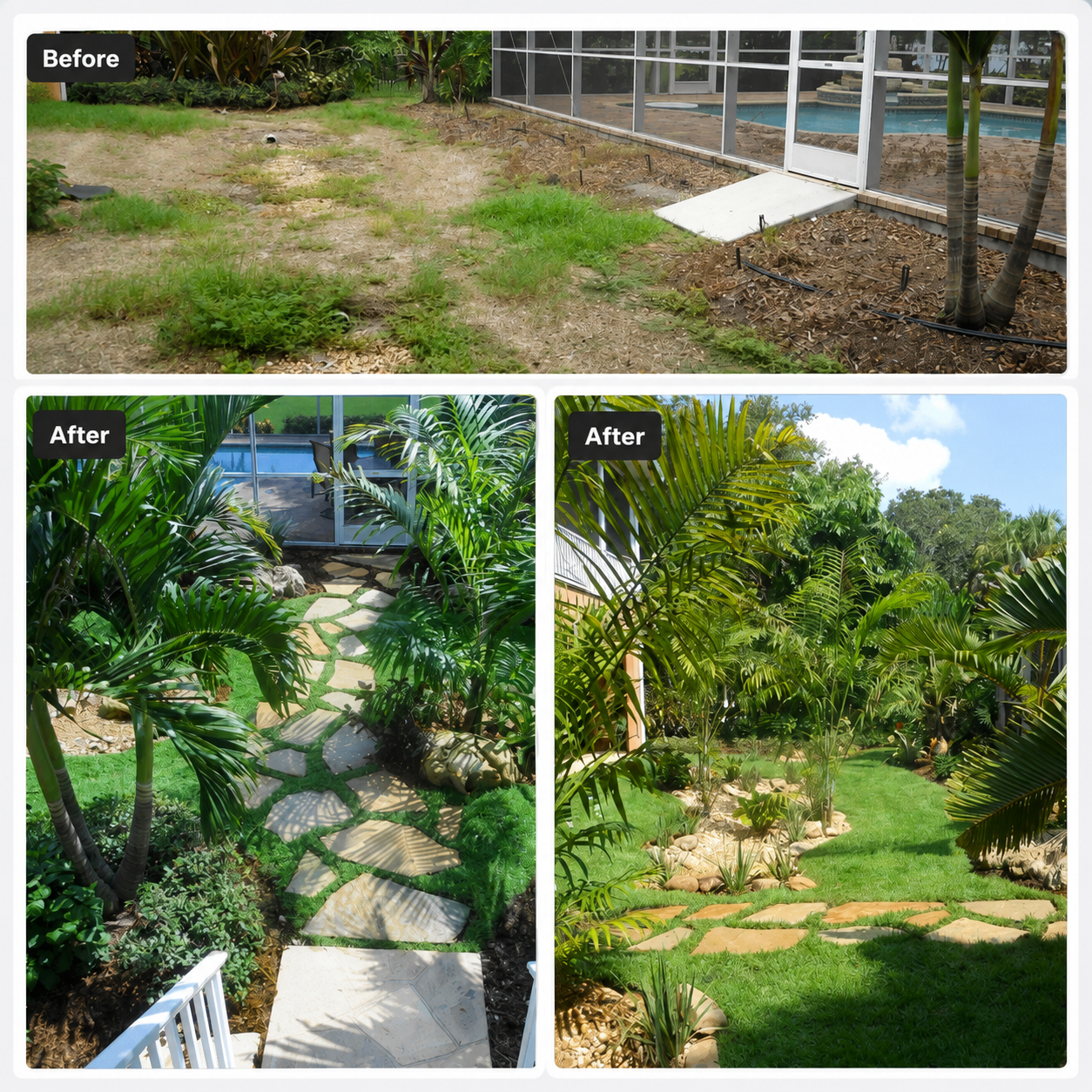Backyard transformed into a layered tropical garden with palms and a natural stone pathway